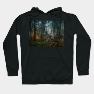 Night Time Forest Hoodie